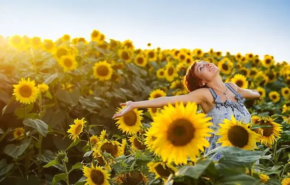 دانلود تصویر زمینه و والپیپر و ژست زیبا برای عکاسی با افتابگردان