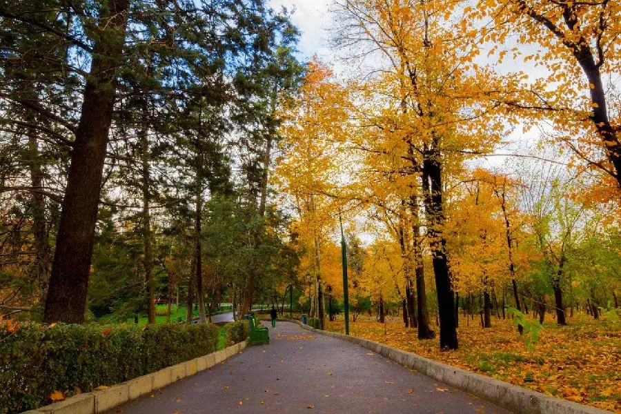 دانلود عکس بوستان و پارک زیبای ملت در تهران