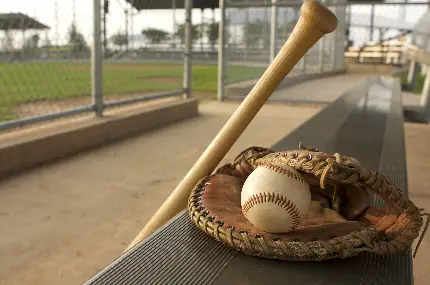 دانلود عکس ورزش محبوب و تیمی بیسبال