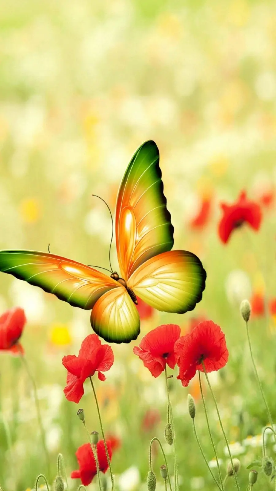 عکس استوک فول اچ دی برای آیفون با طرح پروانه ناز