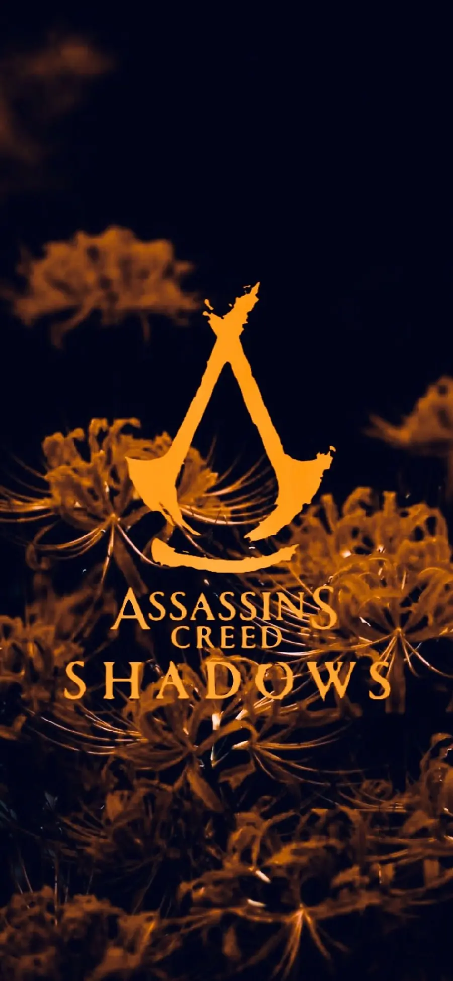 اساسینز کرید سایه‌ها Assassin’s Creed Shadows