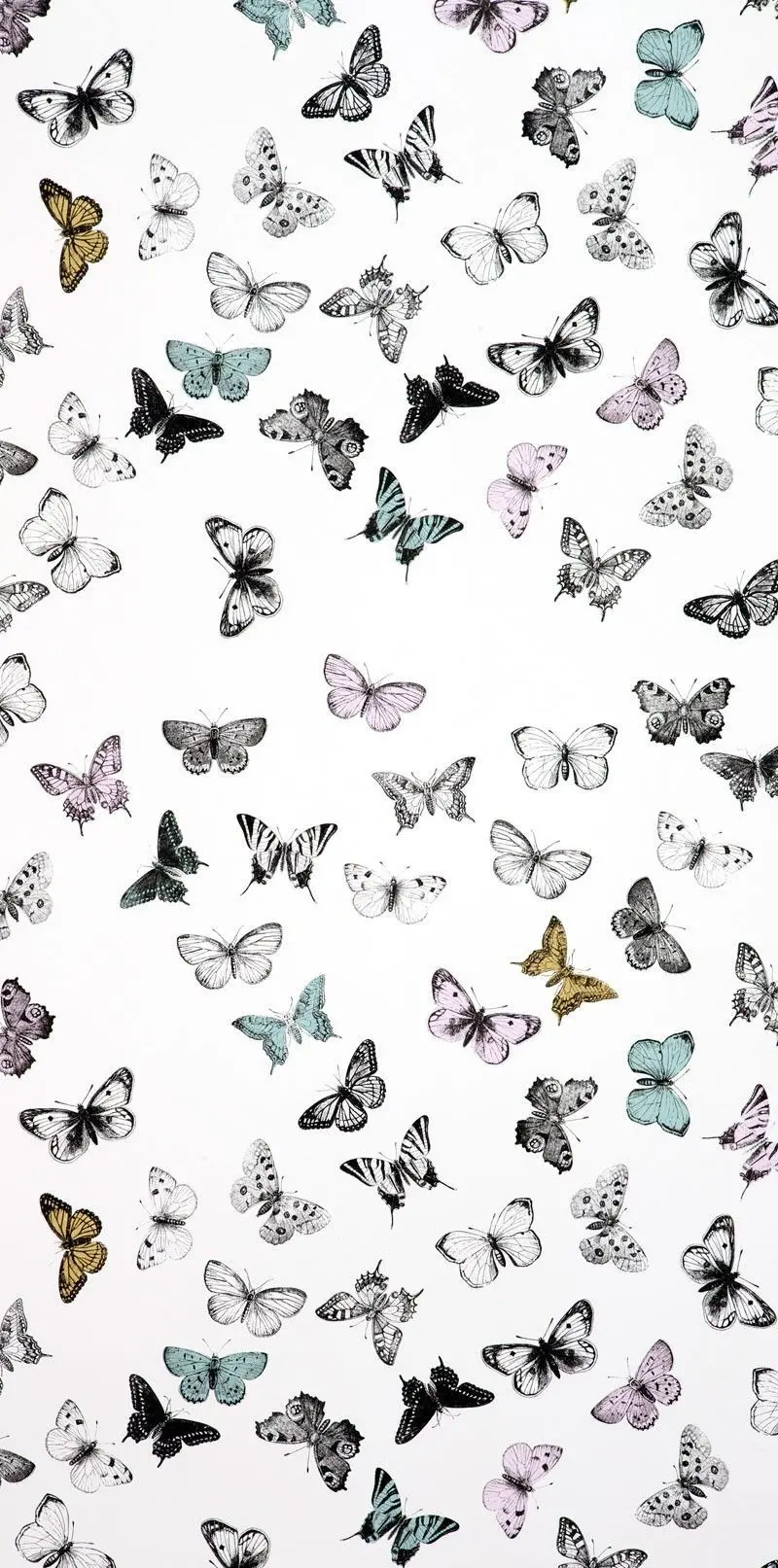 تصویر استوک با زمینه سفید و پروانه های رنگی زنگی برای آیفون 