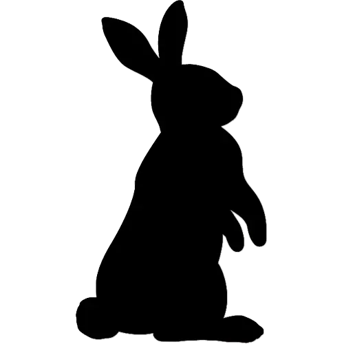 عکس سایه ی خرگوش واقعی با فرمت PNG