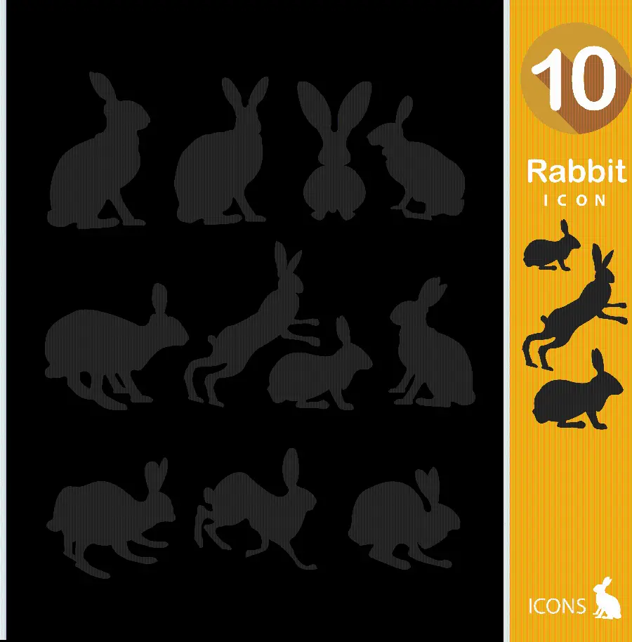 دانلود عکس زمینه از ده گونه خرگوش واقعی با فرمت PNG
