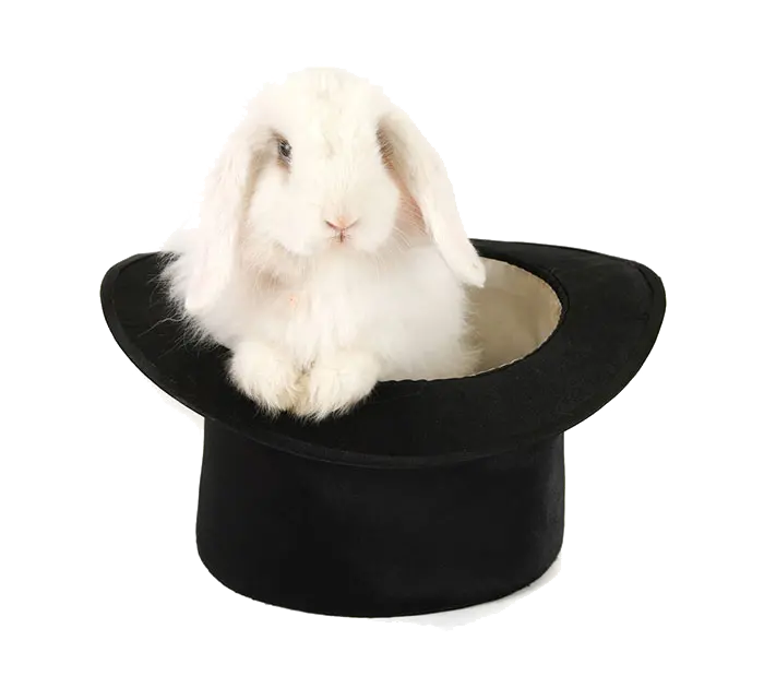 دانلود تصویر خرگوش سفید داخل کلاه شعبده بازی PNG