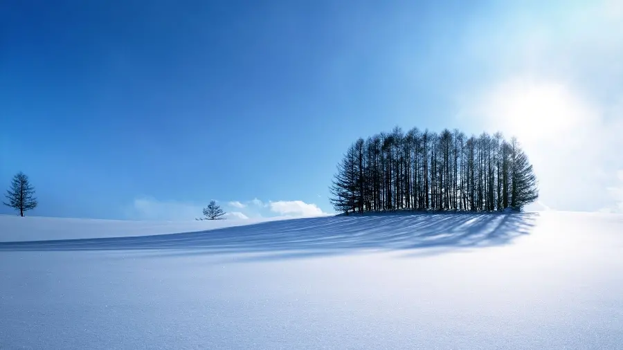 والپیپرهای رایگان از دنیای برفی و زمستانی