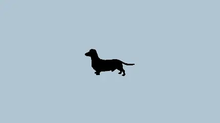 تصویر پس زمینه سگ مینیمالیستی برای طراحی کاور هایلایت استوری اینستا 