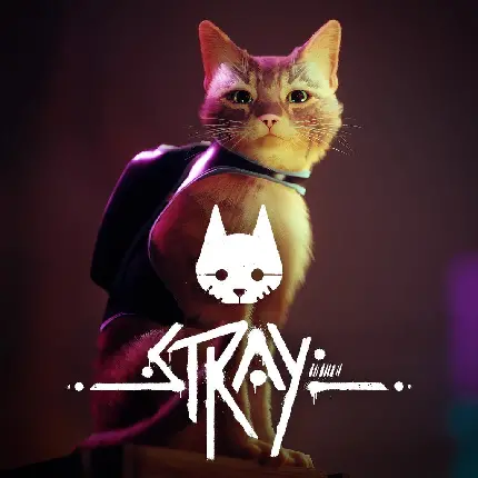 دانلود والپیپر از بازی گربه‌ای ولگرد یا استری-Stray