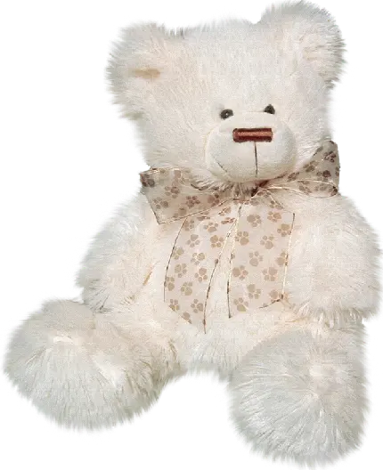 والپیپر بدون بکگراند از خرس عروسکی سفید و دوست داشتنی PNG