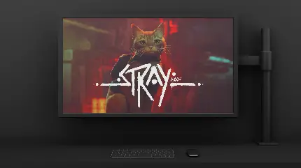 بازی ولگرد یا استری-Stray