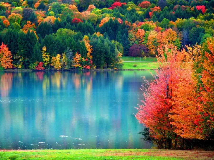 عکس رویایی فصل پاییز با منظره ای شگفت انگیز برای تصویر زمینه