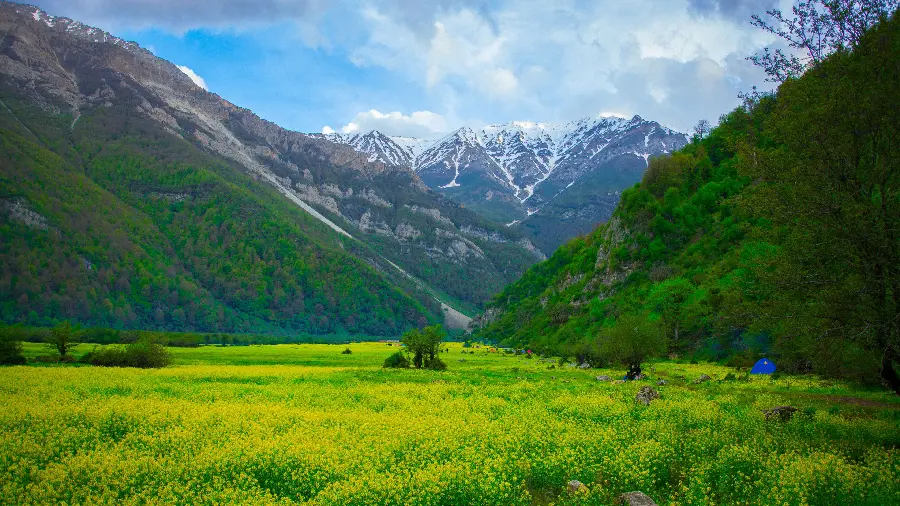 تصویر زمینه 4K چمنزار سرسبز در کوهستان برای کامپیوتر