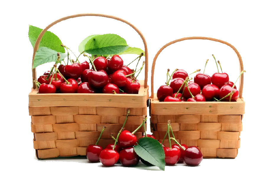 New Background Of Cherries In Baskets 