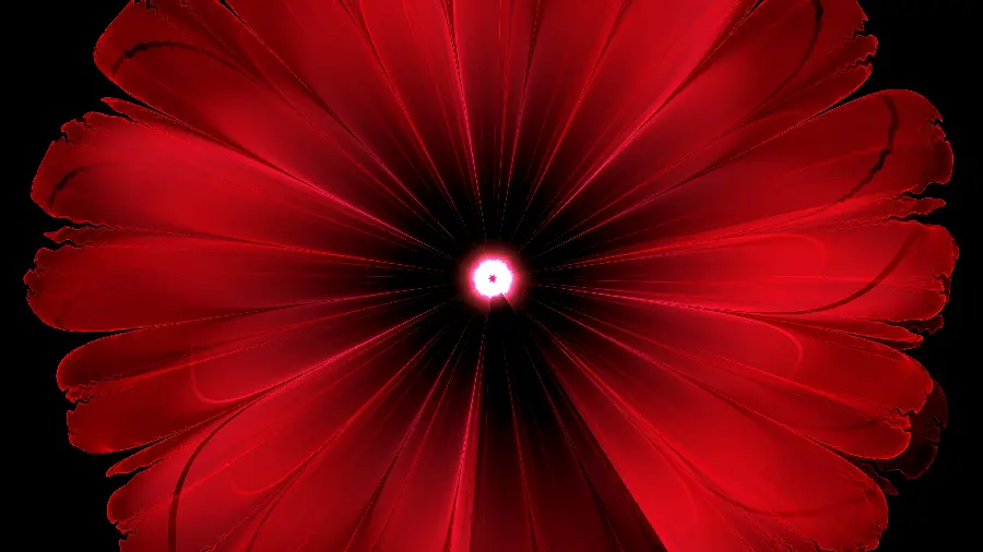 تصویر زمینه قرمز و مشکی با طرح گل با رزولوشن 3840 در 2160