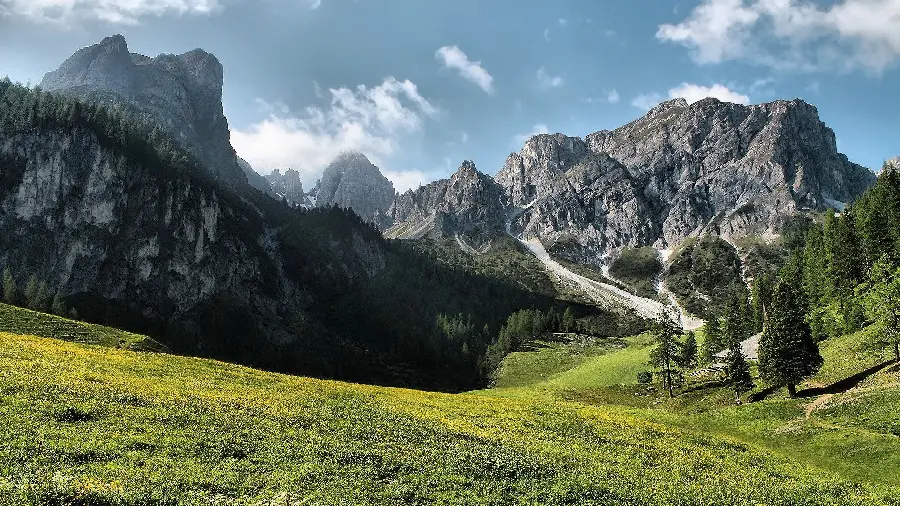 قاب 4k چشم نواز از طبیعت سرسبز کوهستانی کاملا رایگان