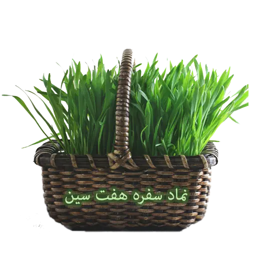 تصویر دوربری شده سبزه به عنوان نماد سفره هفت سین