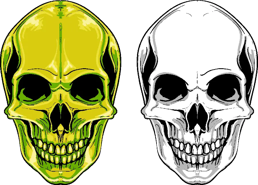 تصویر دوربری جمجمه انسان در دو رنگ سبز و سفید