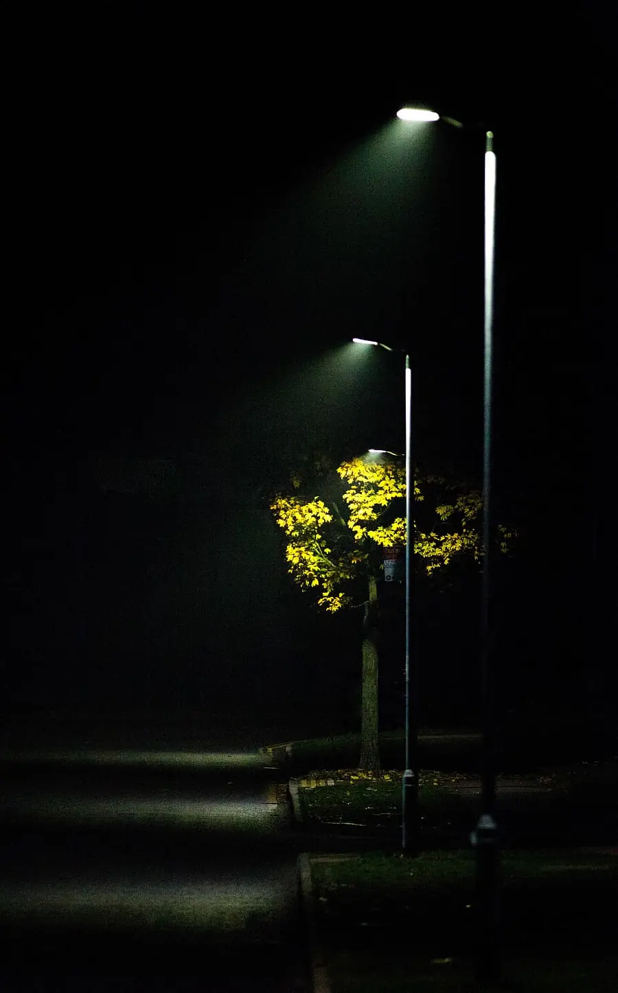 خیابان تنهایی با چراغ های روشن برای پروفایل واتساپ
