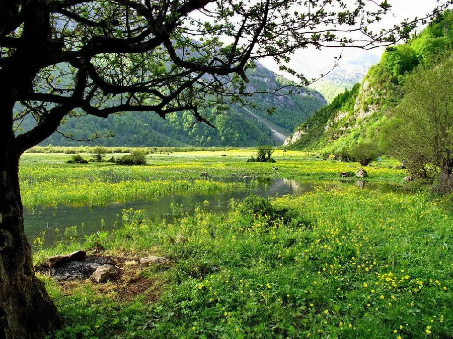 پس زمینه دشت سرسبز و شاداب در میان کوهستان شمال در تابستان