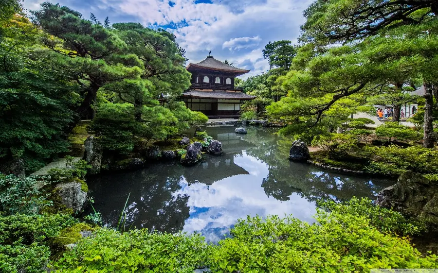 بک گراند زیبا طبیعت ژاپن