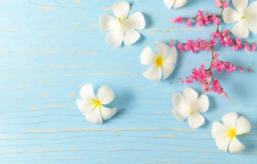 صفحه زمینه خوشگل پاورپوینت با طرح گل Plumeria