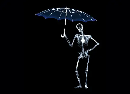 پس زمینه کامپیوتر با طرح رادیولوژی انسان چتر به دست