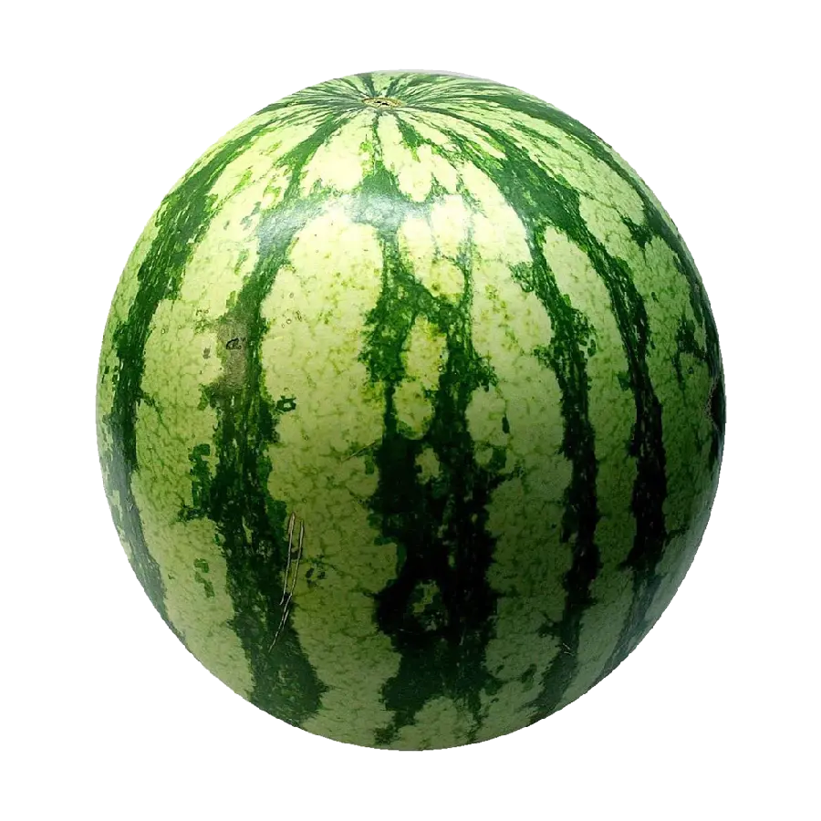 png عکس هندوانه سبز بزرگ watermelon با رگه های روشن و تیره