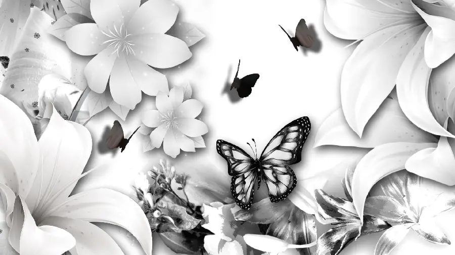 عکس پروانه سیاه و سفید مخصوص تلگرام و واتساپ