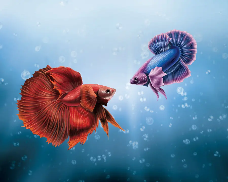 عکس ماهی نقاشی شده قرمز و آبی مخصوص پروفایل Telegram