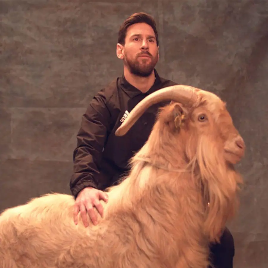 دانلود عکس ساده و باکیفیت از مسی و بز Goat فوتبال 