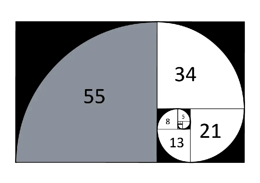 عدد فیبوناچی دنباله نسبت طلایی ریاضیات مارپیچی 