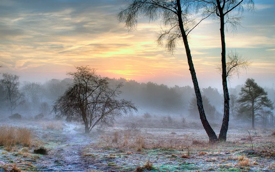 دانلود رایگان و با کیفیت زیباترین تصویر طبیعت زمستانی برای پروفایل و بکگراند 