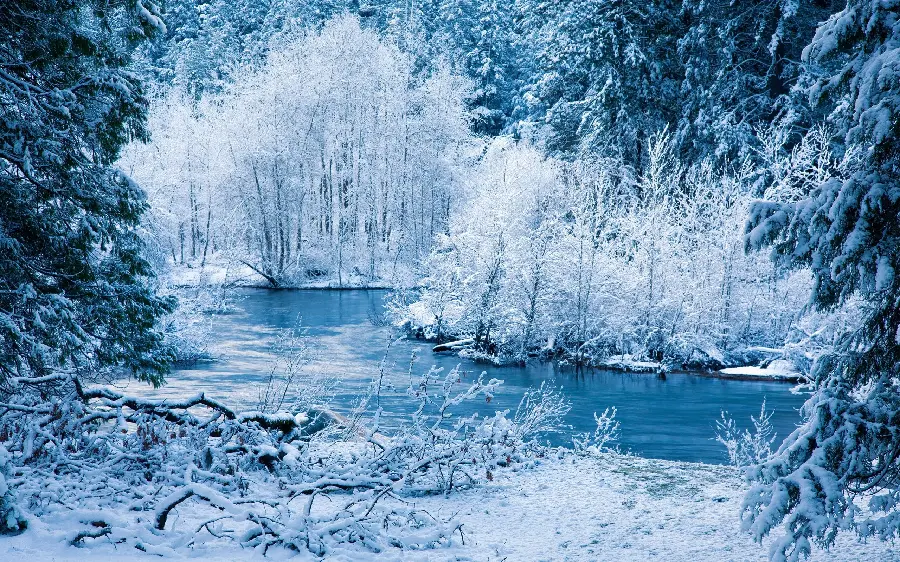 شیک ترین تصویر زمینه زمستانه طبیعت یخی زیبا و رویایی با کیفیت 4K 