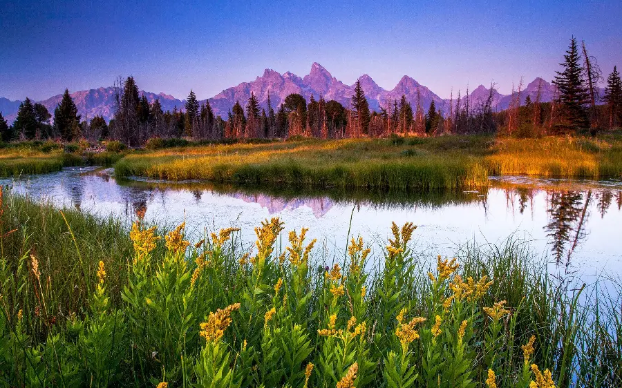 عکس گرفته شده از طبیعت با منظره ای خارق العاده 