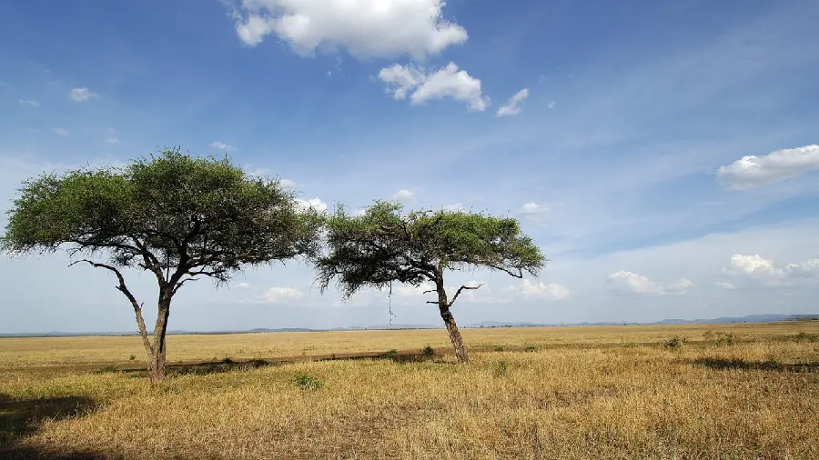 دانلود عکس منظره پارک ملی Namibia بیابان صحرای آفریقا