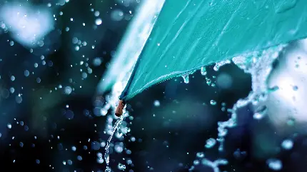 دانلود رایگان و فول اچ دی چتر بارانی مخصوص پروفایل 
