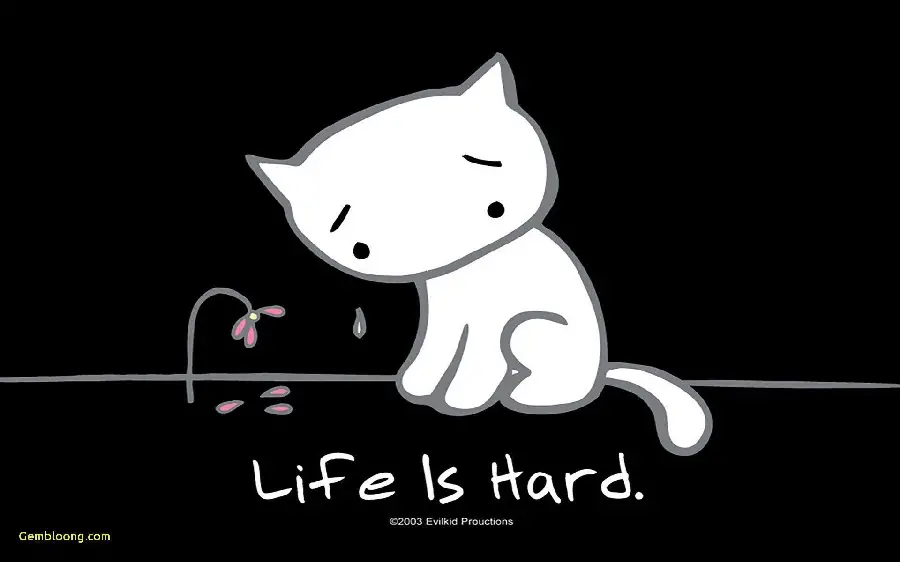 عکس گربه کارتونی غمگین کنار گل پژمرده life is hard