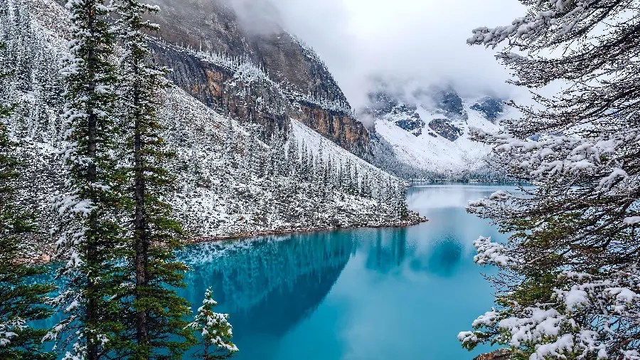 دریاچه احاطه شده با درختان کوهستان برفی