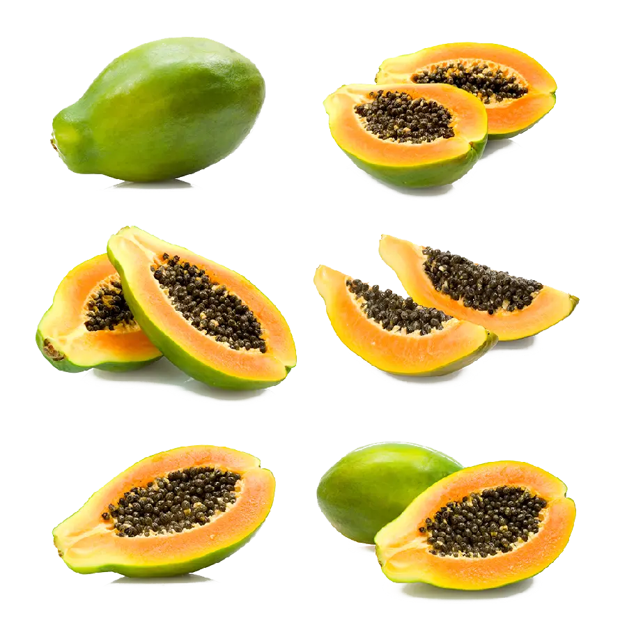 عکس پاپایا، پاپایه یا خربزه درختی با نام علمی Carica papaya