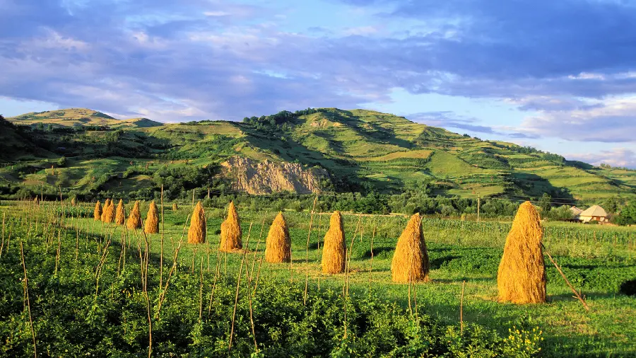 دانلود عکس طبیعت روستایی سرسبز و خوش آب و هوا برای پروفایل افراد باکلاس 