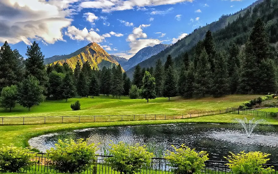 تصویر مکان جنگلی و سرسبز خوش آب و هوا مخصوص کمپ تفریحی 