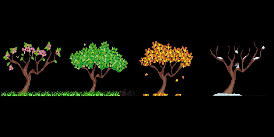 درخت فانتزی و کارتونی در چهار فصل سال با تصویر png