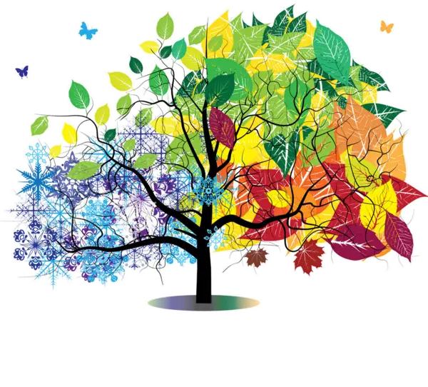عکس درخت زیبا نمایانگر چهار فصل سال با فرمت png