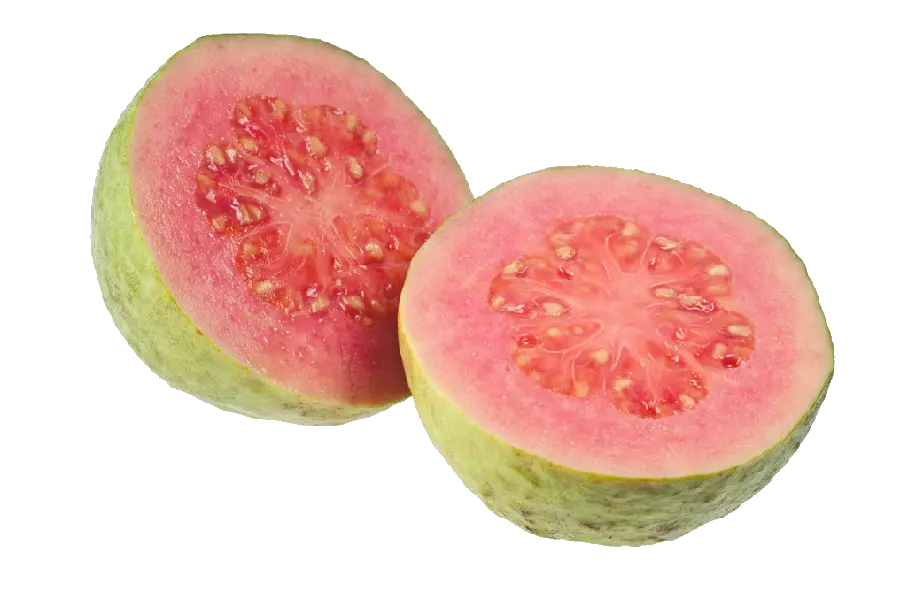 عکس گواوا یا زیتون محلی Guava میوه‌ گرمسیری شیرین و خوشمزه