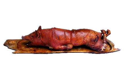 عکس گوشت خوک کباب شده برای کارهای گرافیکی