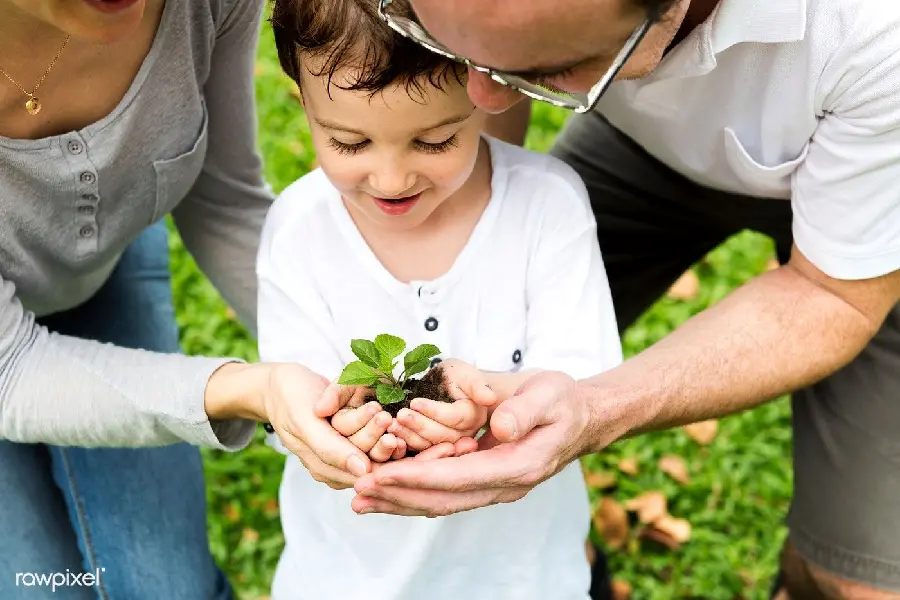 عکس کاشت درخت در روز درختکاری برای کودکان