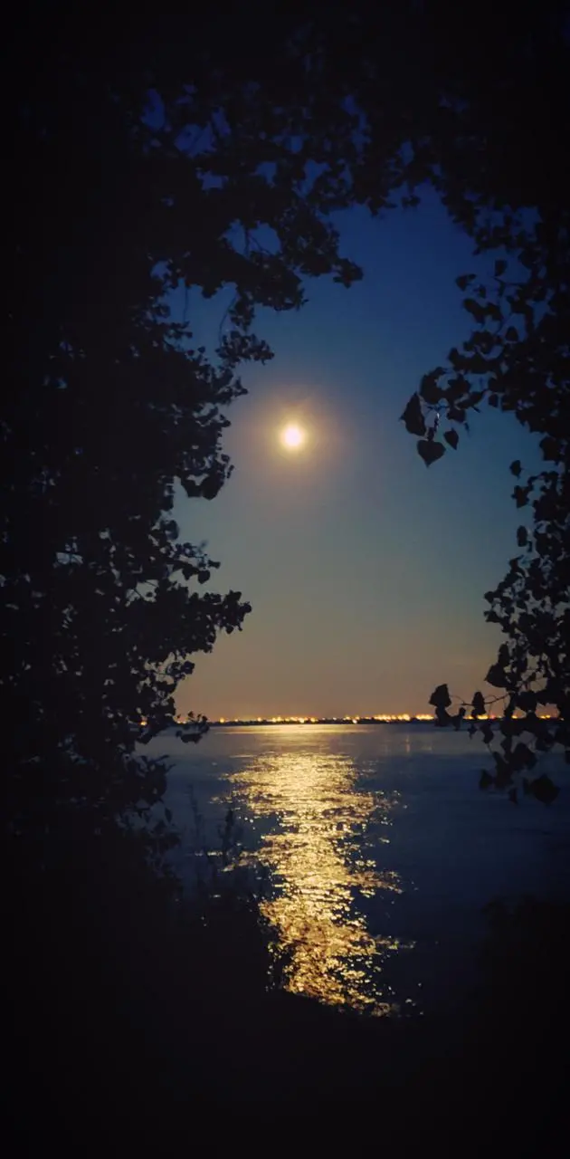 پس زمینه منظره شب عاشقانه مهتابی کنار دریاچه با کیفیت اچ دی