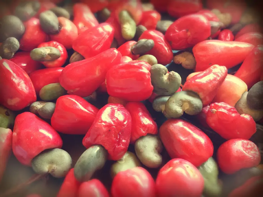 دانلود رایگان عکس میوه بادام هندی قرمز با حاشیه تاریک