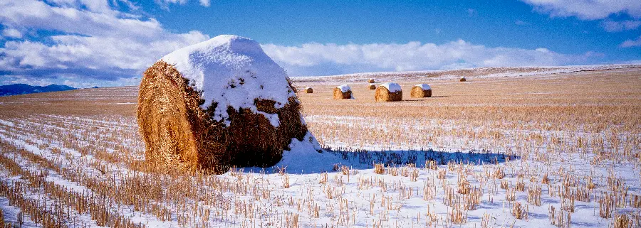 تصویر زمینه مناظر برفی