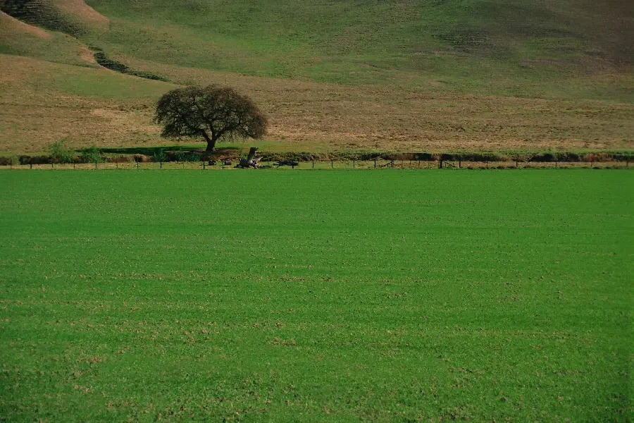 عکس زمینه دنیای طبیعی